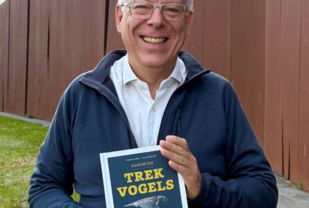 Boek van de maand oktober