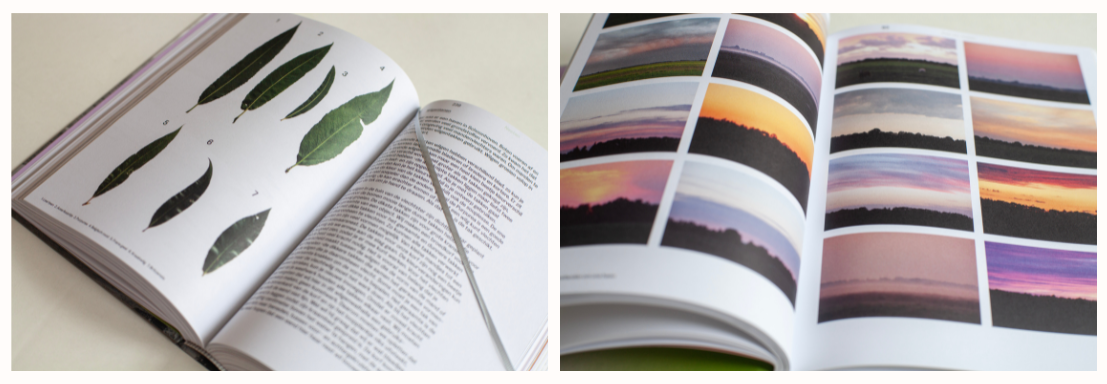 Boekviering 'De wereld in het klein - de verrassende ontdekking van een