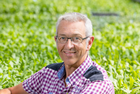 Koen van Wijk