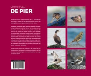 Vogels van de Pier