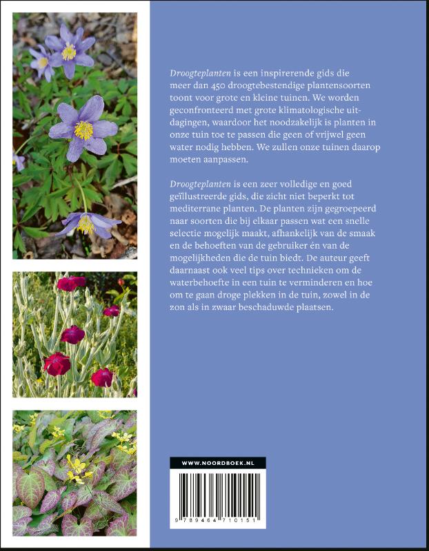 Droogteplanten
