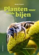 Planten voor wilde bijen