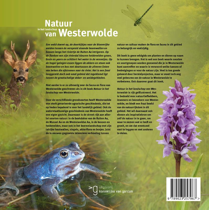 Natuur in het landschap van Westerwolde