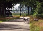 Kraanvogels in Nederland