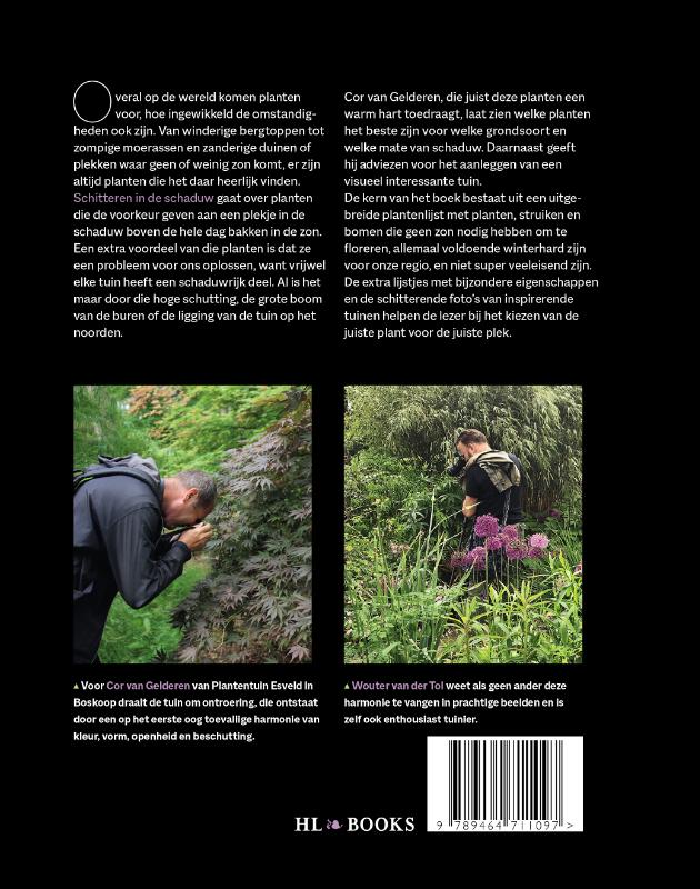 Schitteren in de schaduw