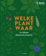 Welke plant waar