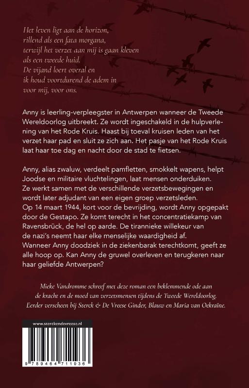 Zwaluwen keren altijd terug