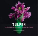 Tulpen