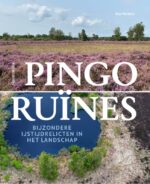 Pingoruïnes