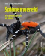 Spinnenwereld
