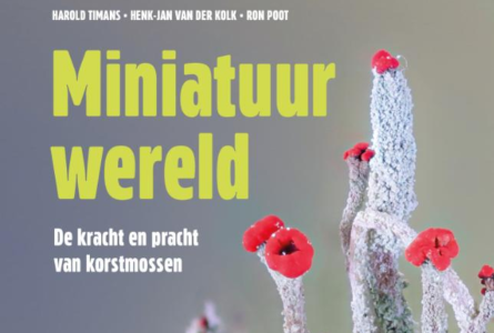 Miniatuurwereld maakt kans op de Natuurboekenprijs
