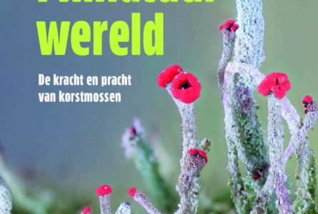 ‘Miniatuurwereld’ op shortlist Natuurboekenprijs