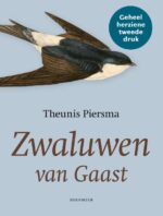 Zwaluwen van Gaast