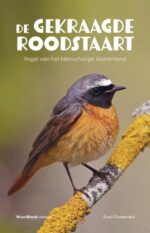 De gekraagde roodstaart